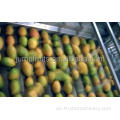 Industriell getrocknete Mango -Verarbeitungsmaschine